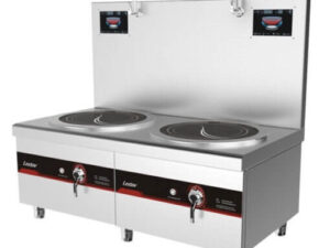 Double Burners Commercial Induction Soup Cooker LT-P420II-E108